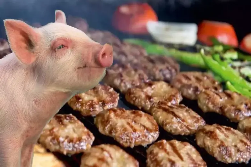 DOMUZ ETİ SİROZU TETİKLİYOR