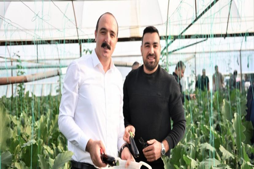 DOYRAN PATLICAN ŞENLİĞİ BAŞLIYOR