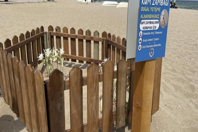 DÜNYADA NADİR RASTLANIYOR