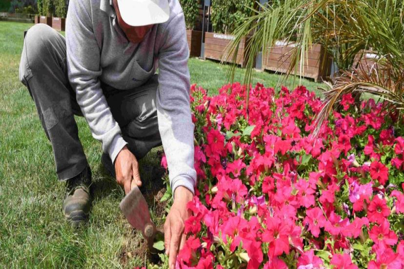 HAYATPARK ÇİÇEK GİBİ OLDU