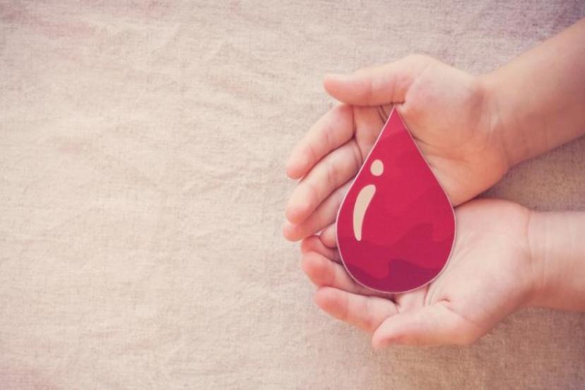 HEMOFİLİ HASTALARI YAŞAMLARINI NORMAL DÜZEYDE SÜRDÜREBİLİR