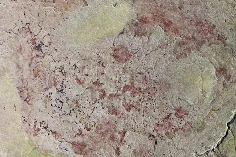 İÇİNE DÜŞEN HER ŞEY ASİTTEN DOLAYI YOK OLUYOR