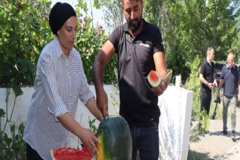 IĞDIR'DA ÜRETİLEN KARPUZUN DÖRDÜNCÜ HASADI BAŞLADI
