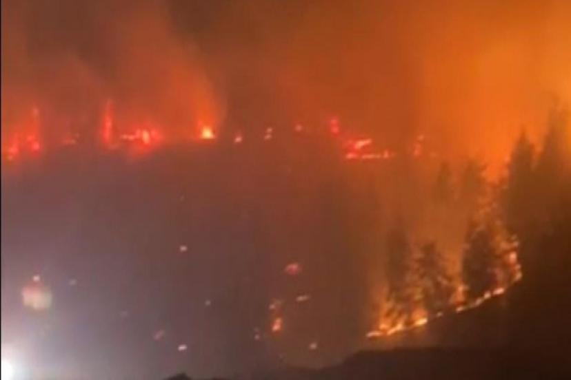 KAHRAMANMARAŞ'TA ORMAN YANGINI