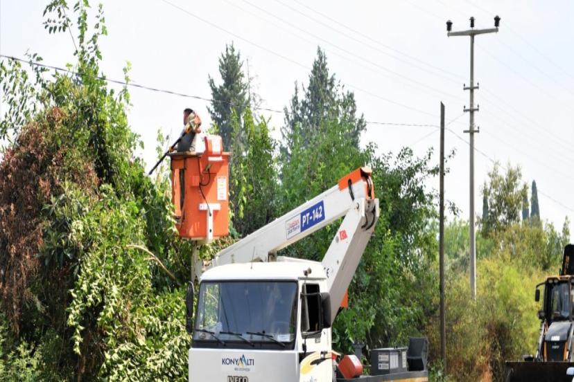 KONYAALTI’NDA TEHLİKE OLUŞTURAN AĞAÇLAR BUDANIYOR