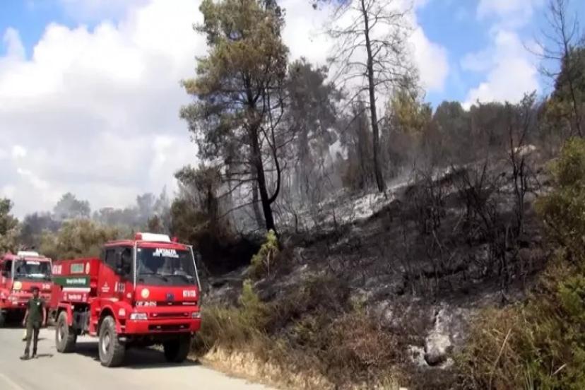 MANAVGAT'TA TARIM ARAZİSİNDE YANGIN