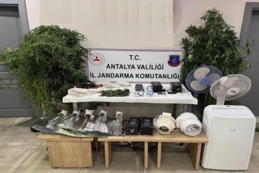 MANAVGAT'TA UYUŞTURUCU OPERASYONUNDA ÇOK SAYIDA KENEVİR VE ESRAR ELE GEÇİRİLDİ