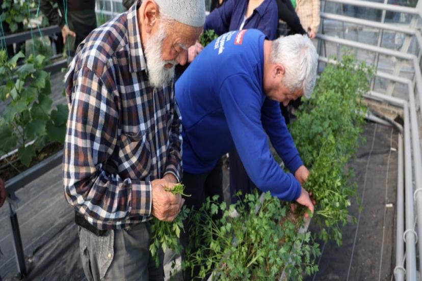 MAVİ EV SERASINDA SEBZE YETİŞTİRİYORLAR