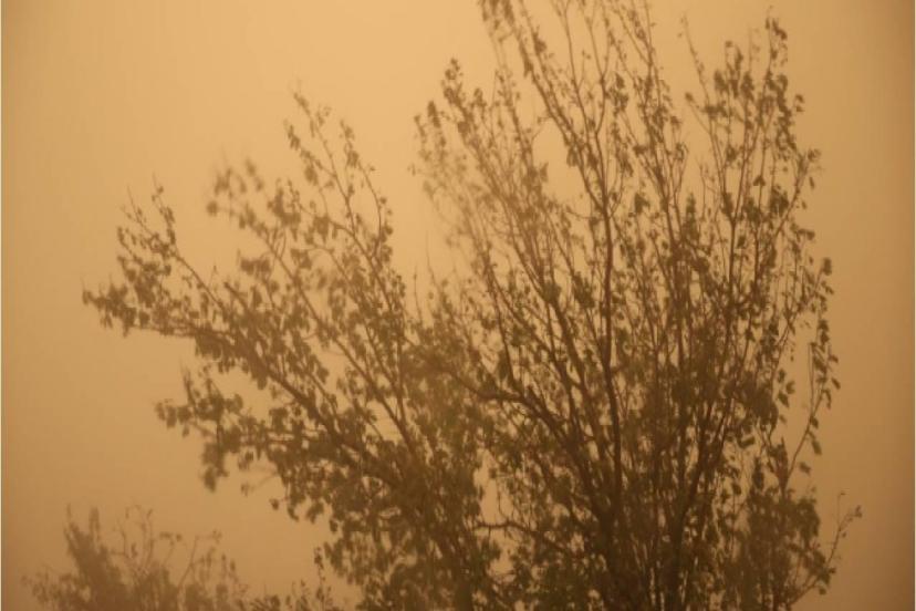 METEOROLOJİ'DEN TOZ TAŞINIMI UYARISI
