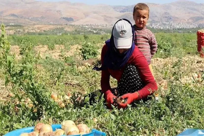 MEVSİMLİK TARIM İŞÇİLERİNE SOSYAL HİZMETLER