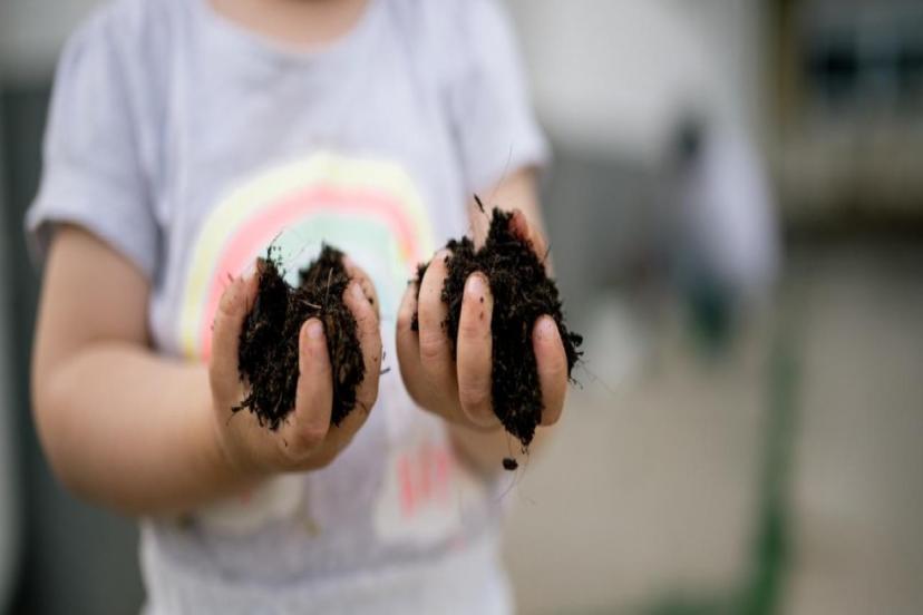 PİKA SENDROMU NEYİ İŞARET EDİYOR?