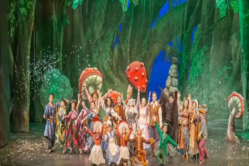 RAPUNZEL’E ÇOCUK OPERASI İLGİ GÖRDÜ