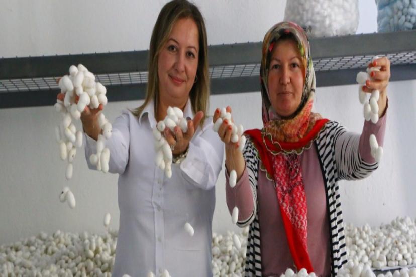 SAPADERE İPEK EV'İNDE EĞİTİM KURSLARI BAŞLADI