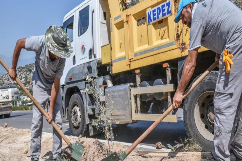 ŞEHİTLER CADDESİ’NE 100 ZEYTİN FİDANI