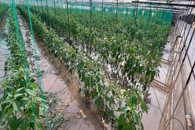 SERA VE EVLERİ SAĞANAK VURDU