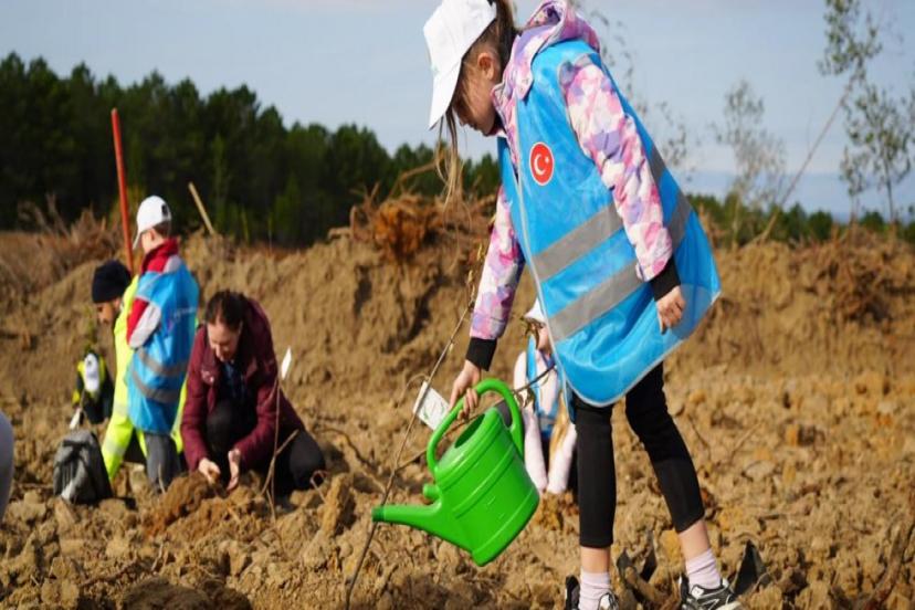 ŞİLE'DE 100 BİN FİDAN TOPRAKLA BULUŞTURULDU
