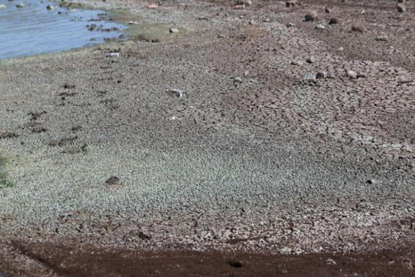 SON 65 YILIN EN KURAK DÖNEMİ: TARIM VE SU KAYNAKLARI 
