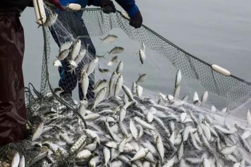 SU ÜRÜNLERİ İHRACATI ZİRVE YAPTI 