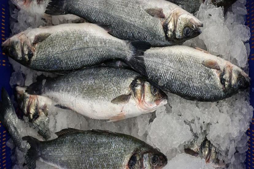 SU ÜRÜNLERİ İHRACATINDA REKOR