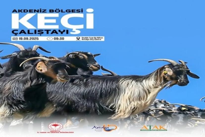 SÜRDÜRÜLEBİLİR HAYVANCILIK POLİTİKASI