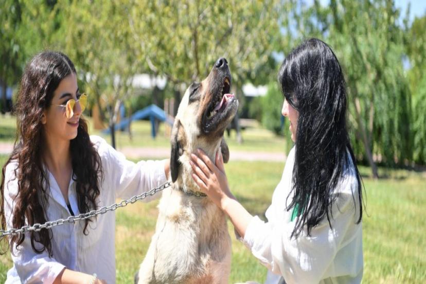 SÜTLAÇ VE KARA’NIN ARTIK AİLESİ VAR 