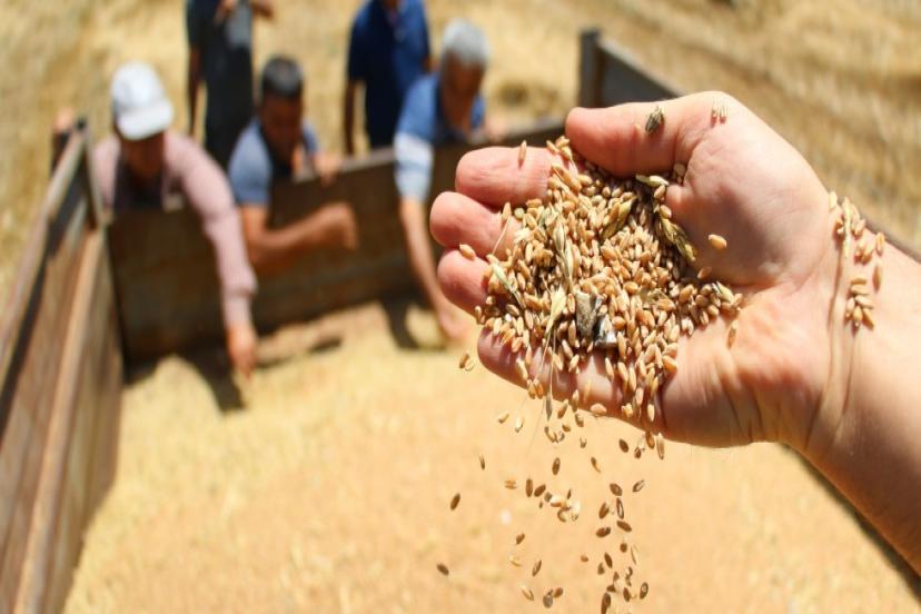 TARIMDA İSTİHDAMI ARTTIRACAK PROJELER