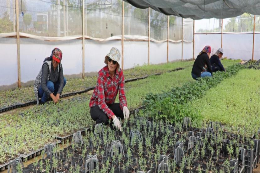 TARIMSAL ÜRETİMİN HER AŞAMASINDA DESTEK SAĞLANDI