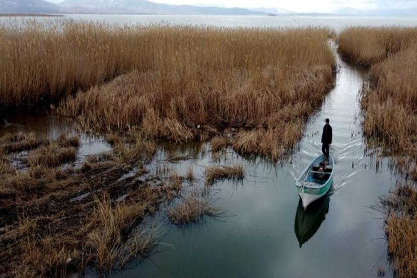 TATLI SULAR OKSİJENSİZ KALIYOR