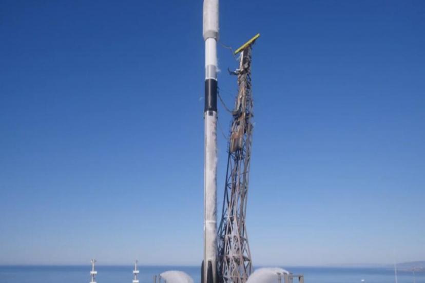 TDT'DEN 'FEGANİ' TEBRİĞİ 