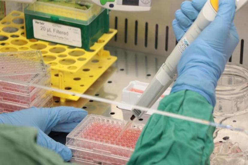 TÜRKİYE'DE BİLİM MERKEZİ SAYISI 40'A ÇIKACAK