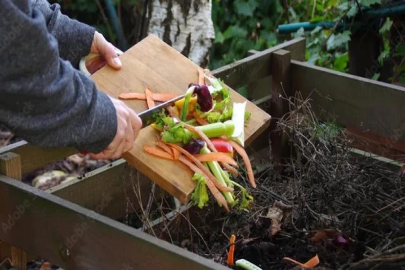 TÜRKİYE'DE GIDA İSRAFI BÜYÜYOR