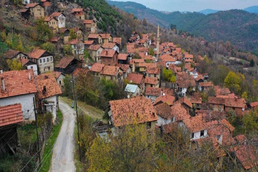 TÜRKİYE'DE ŞEHİRLEŞME ARTIYOR, KIRSAL NÜFUS AZALIYOR