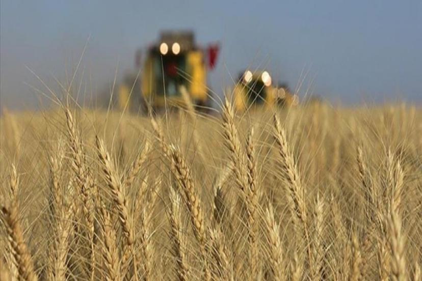 TÜRKİYE, TARIMSAL HASILADA AVRUPA'DA LİDER