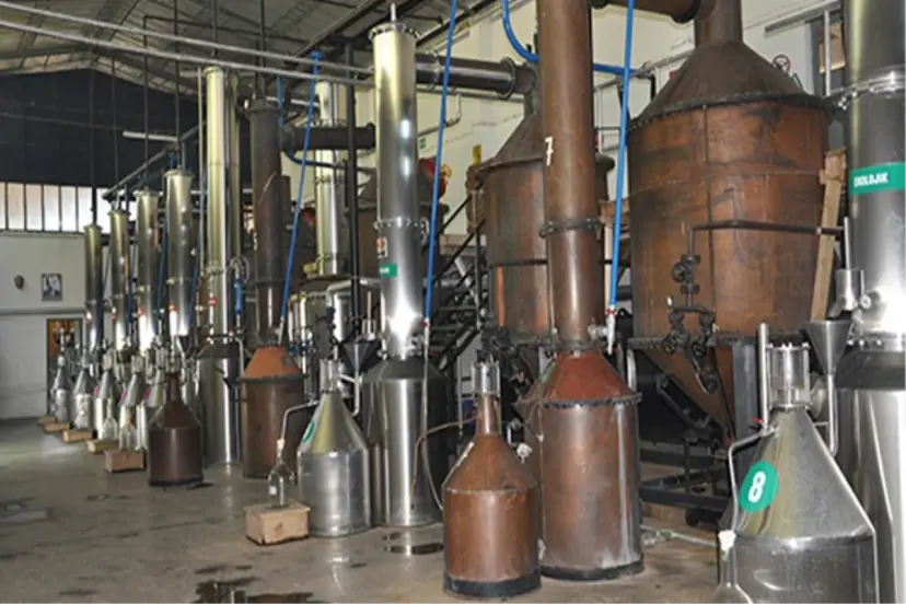 TÜRKİYE'DE ÜRETİLİP DÜNYA'YA SATILIYOR