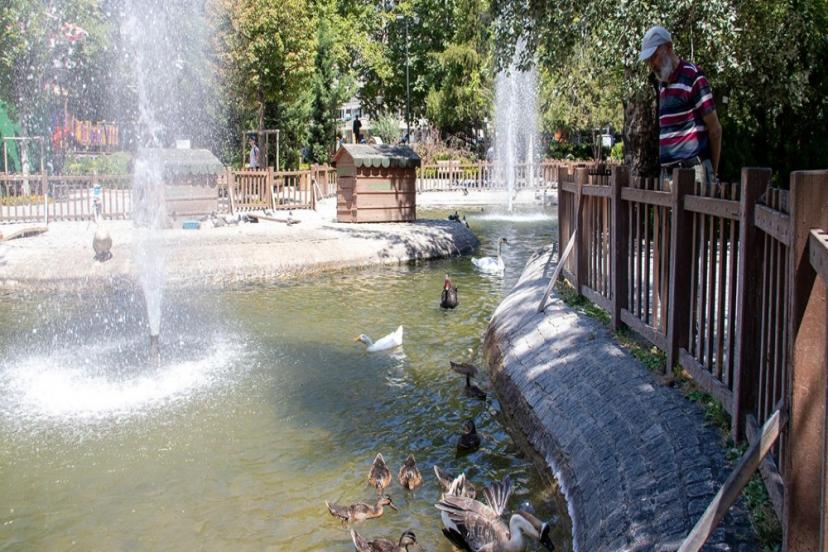 ÜLKE GENELİNDE HAVA SICAKLIKLARI ARTACAK 