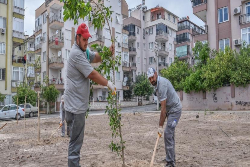 ÜNSAL’A 1500 M2 YEŞİL ALAN