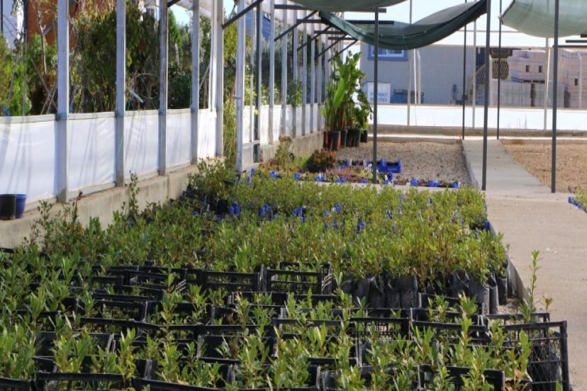 ÜRETİM VE TASARRUFU ARTTIRACAK