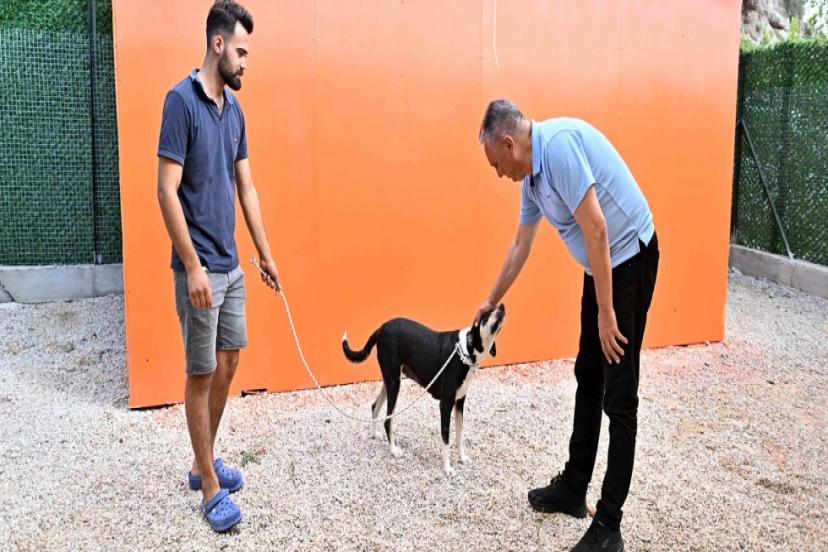 UYSAL, ‘ÇÖZÜMÜ ÖTANAZİ DEĞİLDİR ’