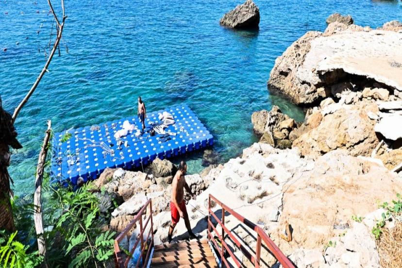 ÜMİT UYSAL'DAN BAMBUS ÇAĞRISI...