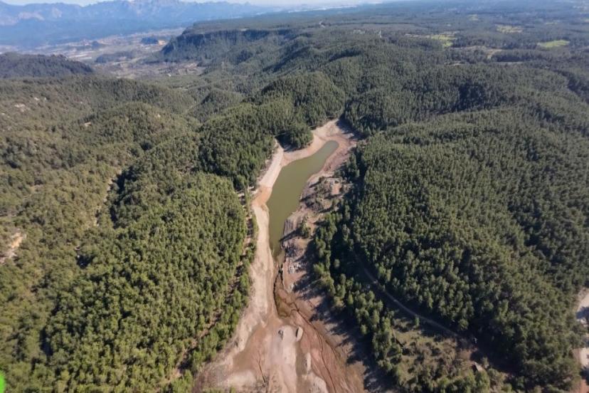 YABAN HAYAT TEHLİKE ALTINDA