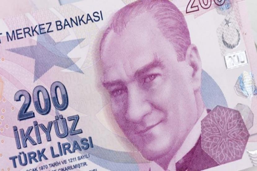 YENİ BANKNOTLAR  TEDAVÜLDE