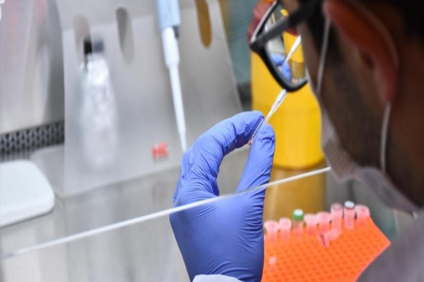 YERLİ KUDUZ AŞISINDA KLİNİK ÖNCESİ AŞAMAYA GEÇİLDİ