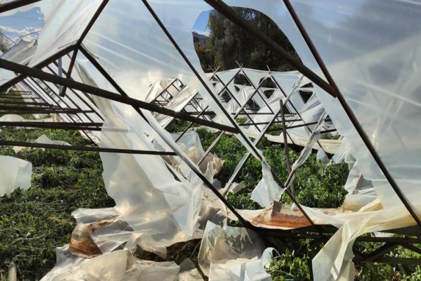 ZARAR GÖREN SERALARDA HASAR TESPİT ÇALIŞMASI